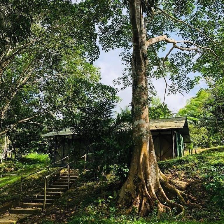 Eco Hotel Aldea -Amazonas Puerto Narino Exterior photo