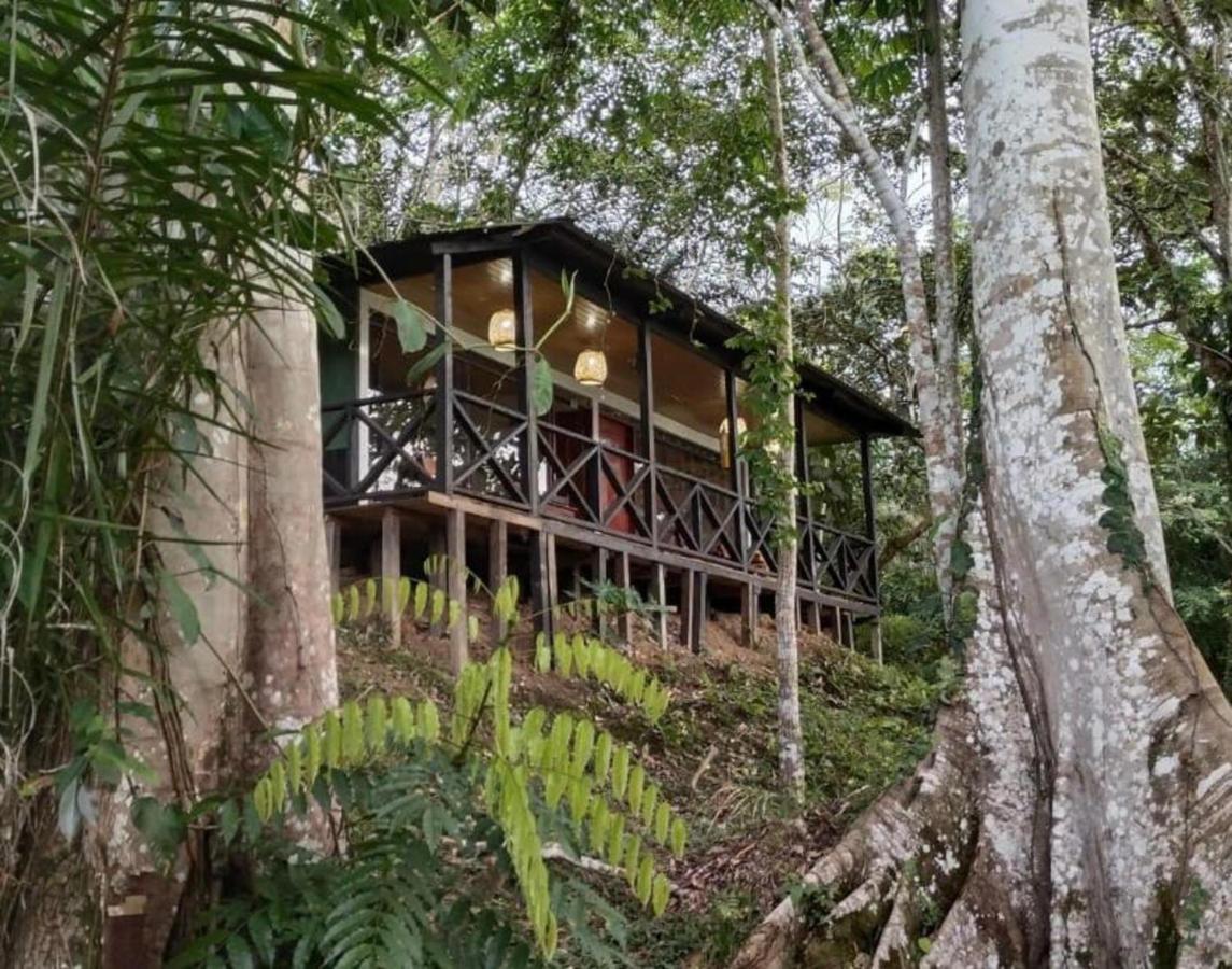 Eco Hotel Aldea -Amazonas Puerto Narino Exterior photo