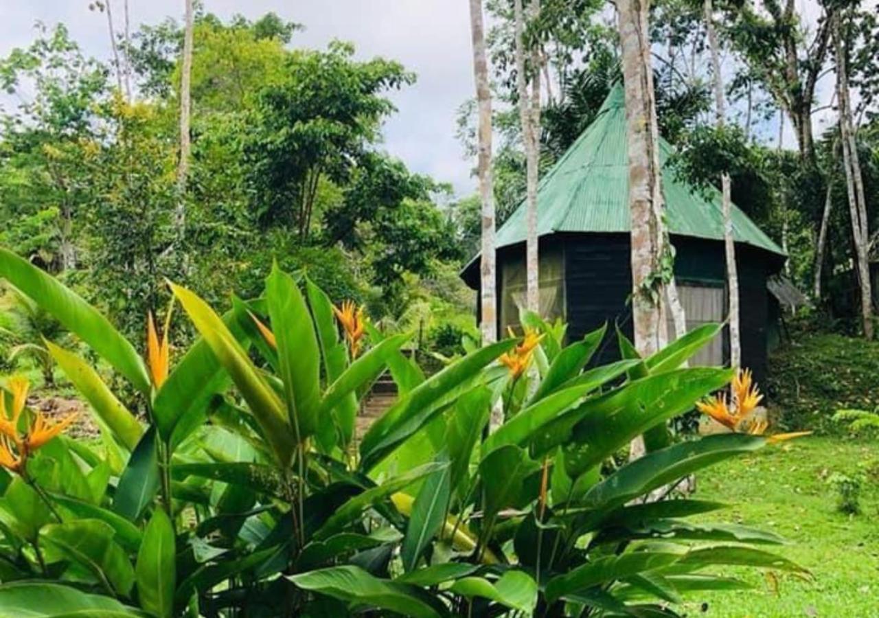 Eco Hotel Aldea -Amazonas Puerto Narino Exterior photo