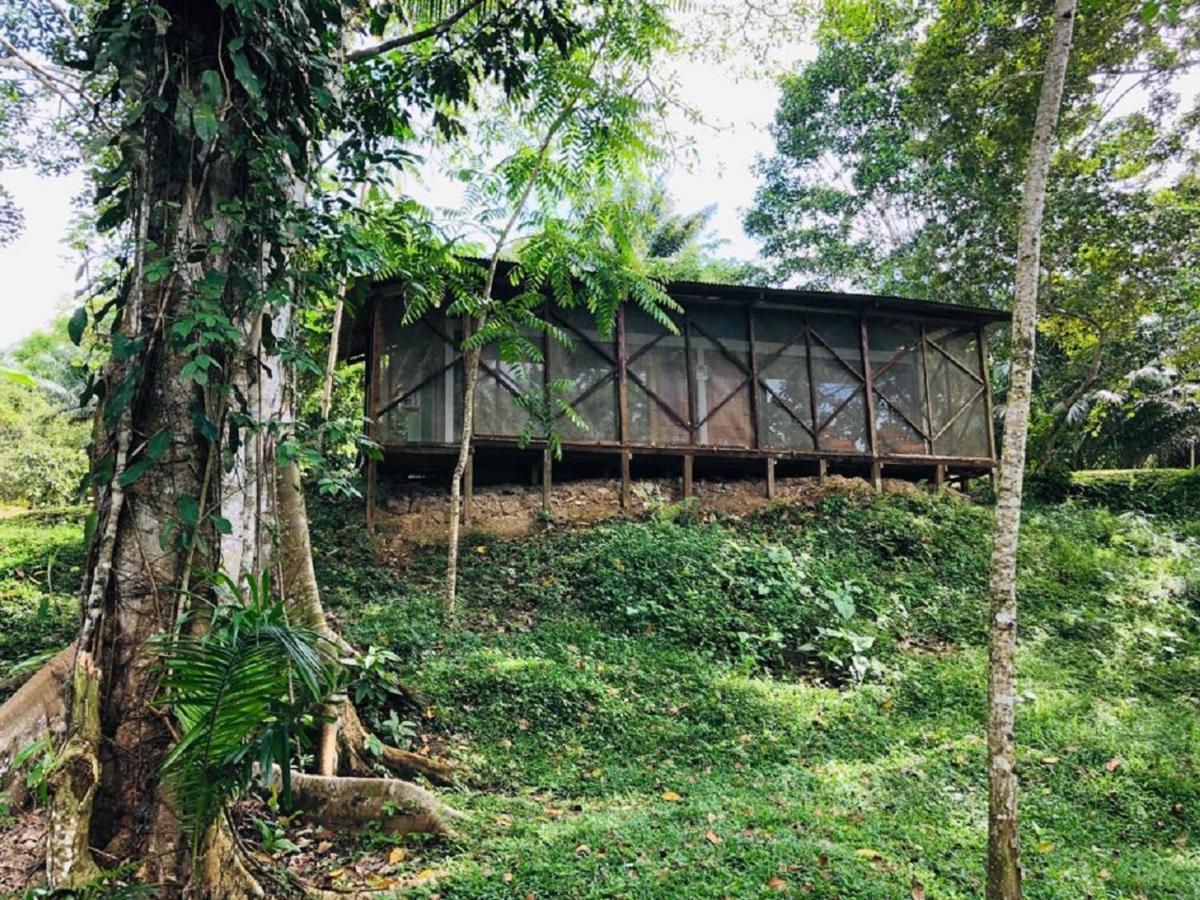 Eco Hotel Aldea -Amazonas Puerto Narino Exterior photo